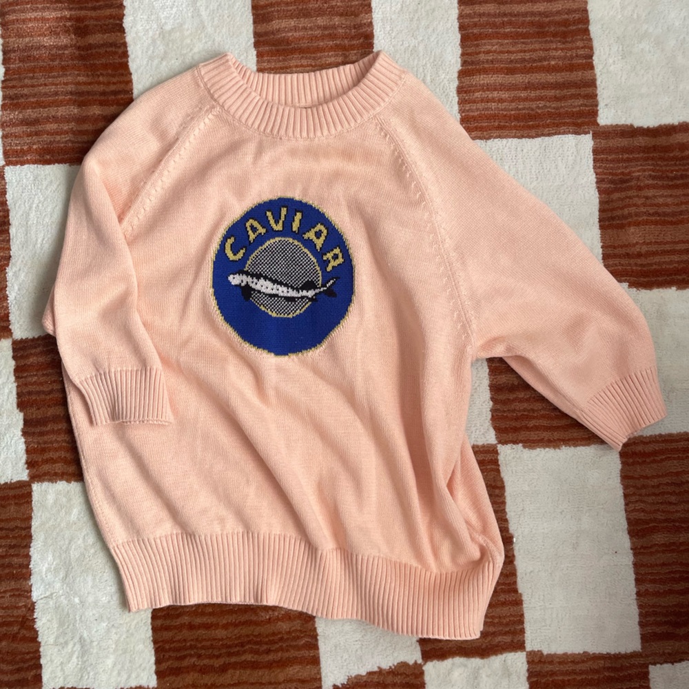 Rachel Antonoff kids sweater caviar size small